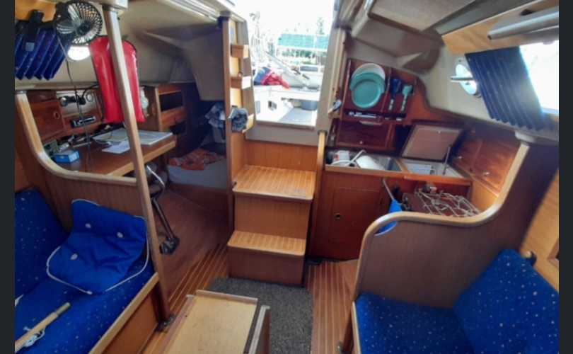 Dehler Muu malli-kuva-3